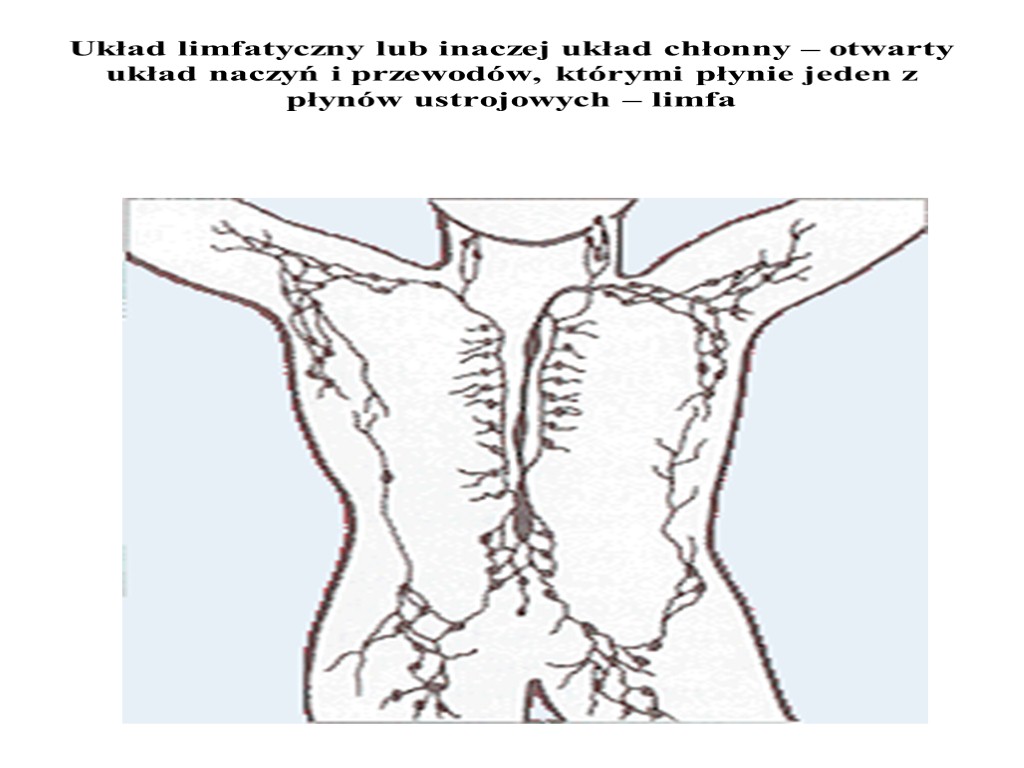Układ limfatyczny lub inaczej układ chłonny – otwarty układ naczyń i przewodów, którymi płynie